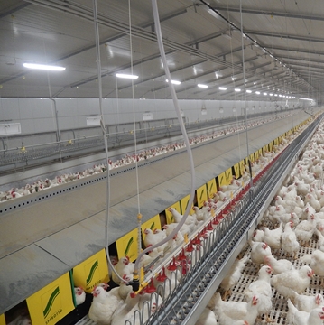 POULTRY EQUIPMENT